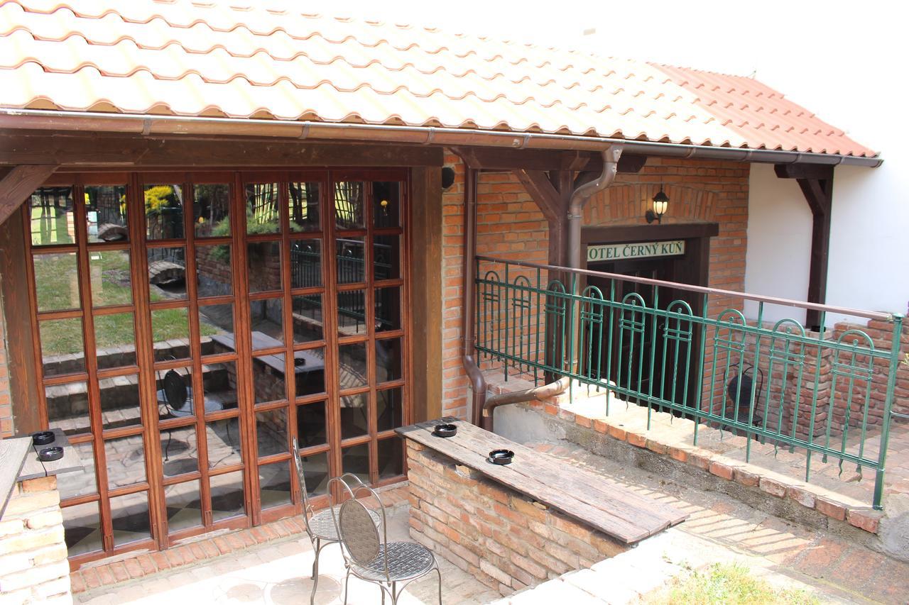 Hotel Cerny Kun Louny Exterior photo
